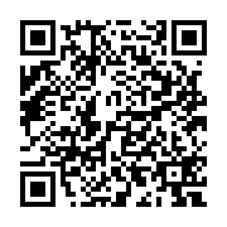 QR code for ZL1-A196