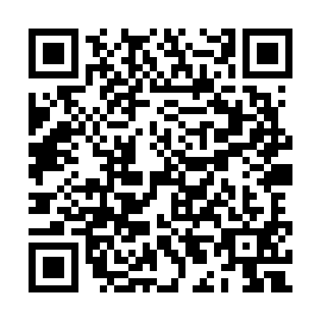 QR code for ZL8-V919