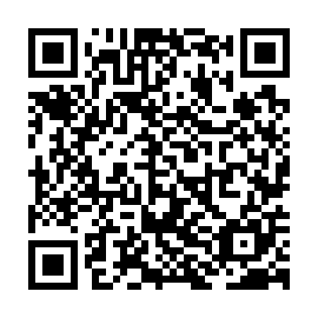 QR code for plate ZLN-705