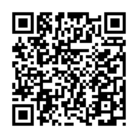 QR code for ZM2T480