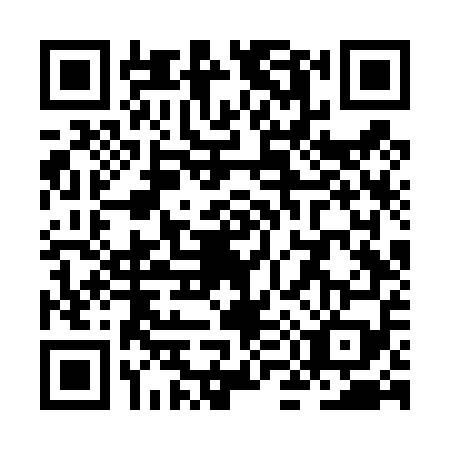 QR code for ZM6-T599