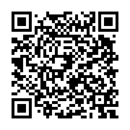 QR code for plate ZMM-411
