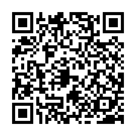 QR code for ZN0-P091