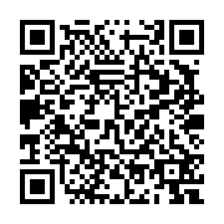 QR code for ZO0-T222