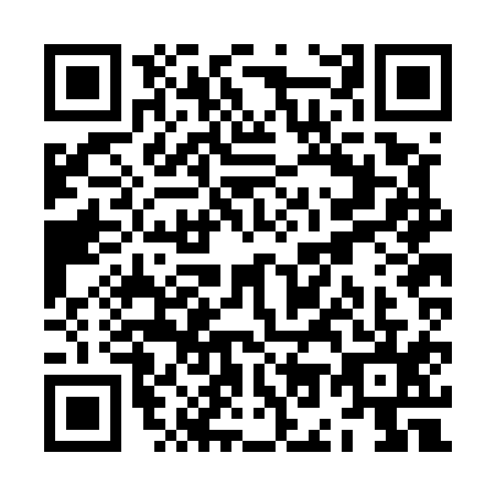 QR code for ZO2E153