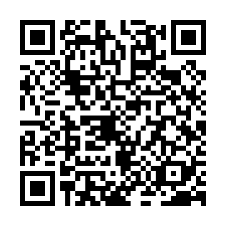 QR code for ZO6-P297