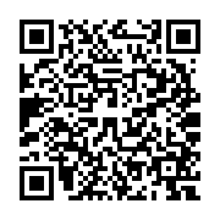 QR code for ZO6-V446