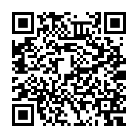 QR code for plate ZP0-S419