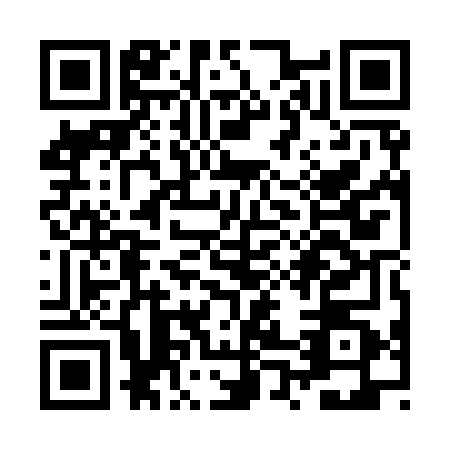 QR code for ZP9-Y609