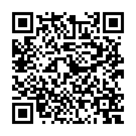 QR code for ZP9E666