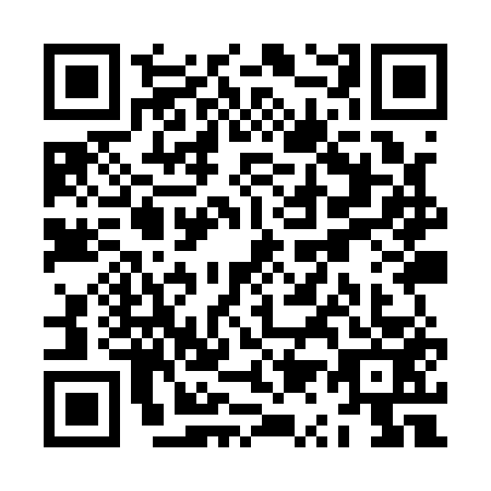 QR code for ZQ9-Q533