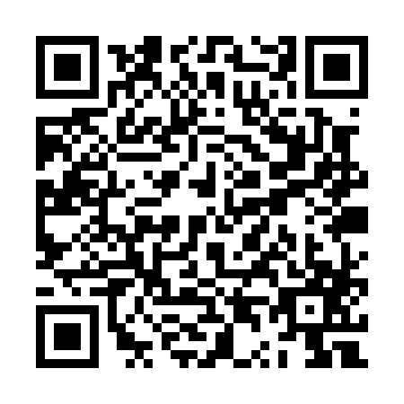 QR code for ZT1P875
