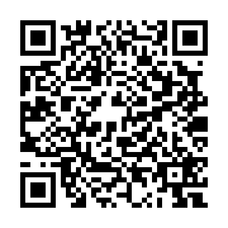 QR code for ZT2-P293