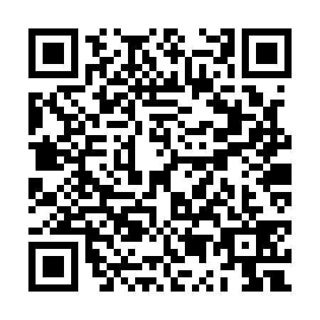 QR code for ZU2-Q393