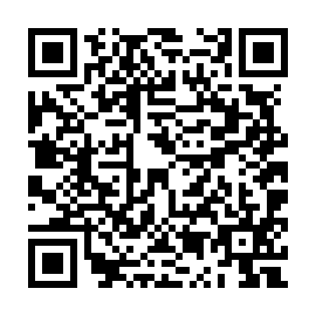 QR code for ZU6N953
