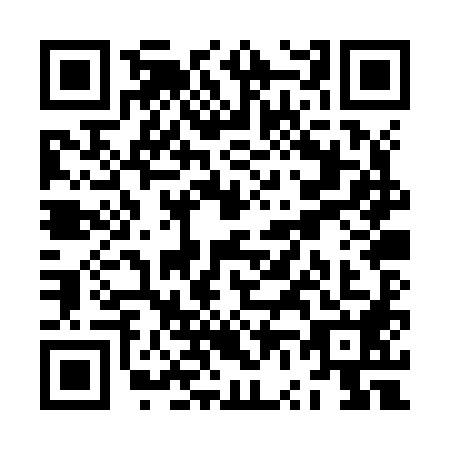 QR code for ZV0-Z881