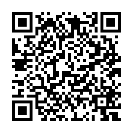 QR code for ZV1-F491