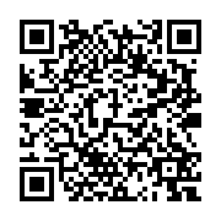 QR code for ZV9T231