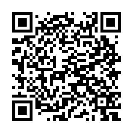 QR code for ZVI376
