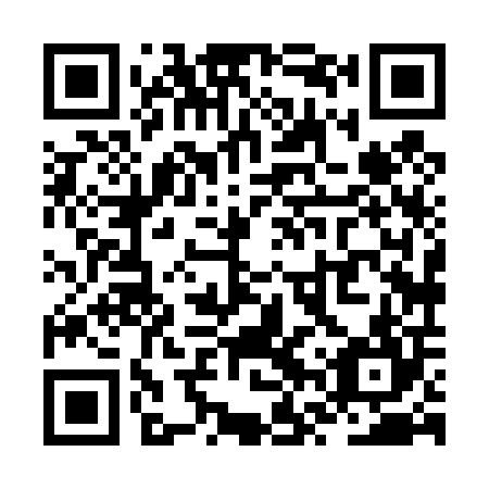 QR code for ZVX404