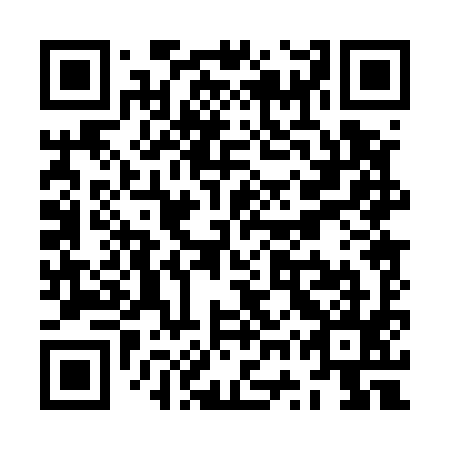 QR code for ZWP-595