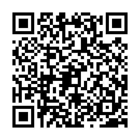 QR code for plate ZX0-T323