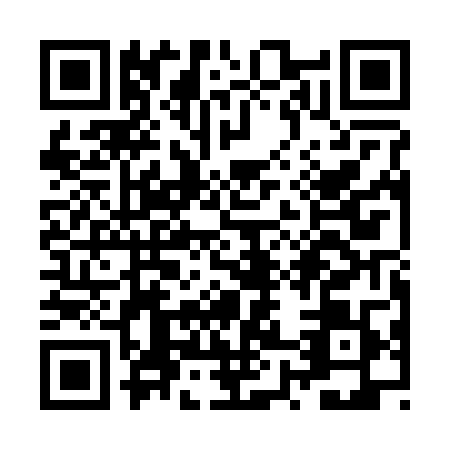 QR code for ZX1R099