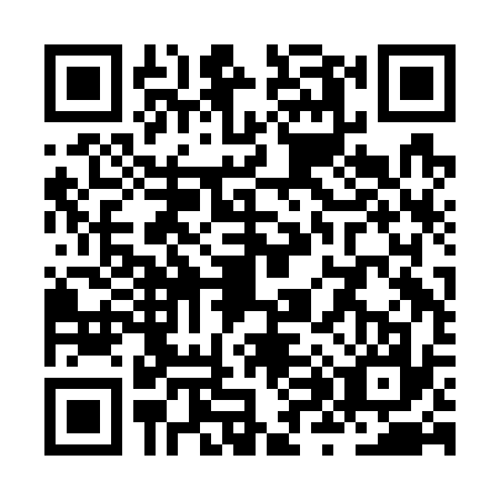 QR code for ZX2-G378