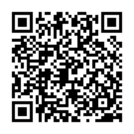 QR code for ZX2P542