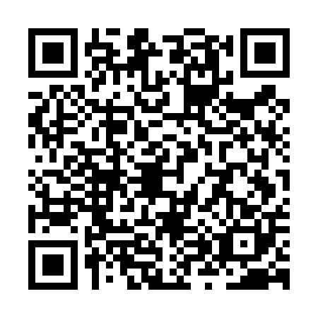 QR code for ZX7-D005