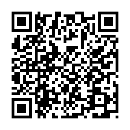 QR code for plate ZX8-U219