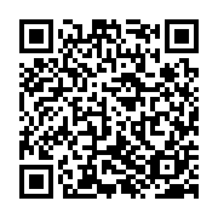QR code for ZXM300