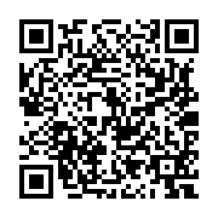 QR code for ZY2-X925