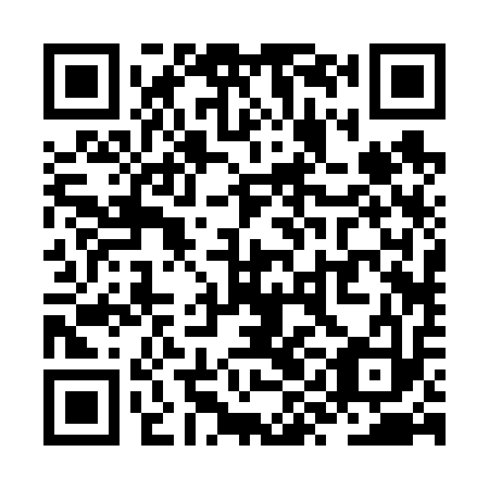 QR code for ZYB-613