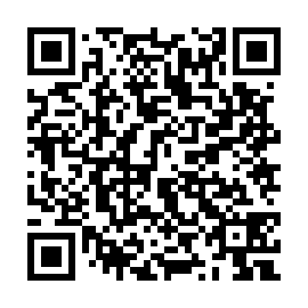 QR code for ZYJ-538