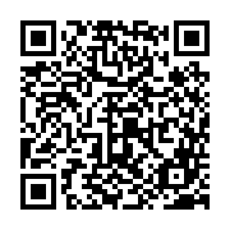 QR code for ZYY246