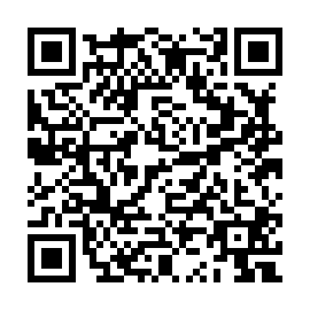 QR code for plate ZZ1-H002