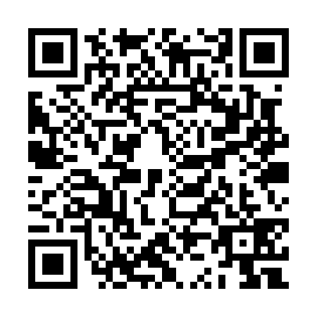 QR code for plate ZZ1-P395
