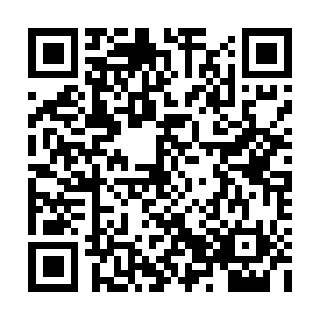 QR code for ZZ3-E101