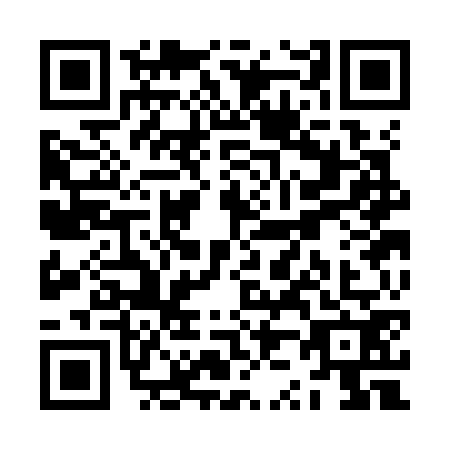 QR code for ZZ3K729