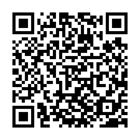 QR code for ZZD618