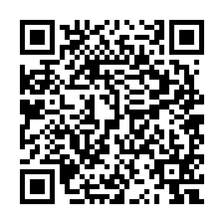 QR code for ZZR-6951