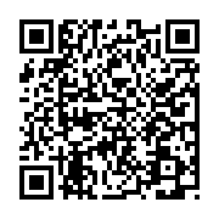 QR code for ZZV8919