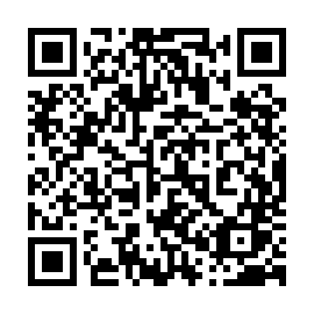 QR code for plate 001 QNS