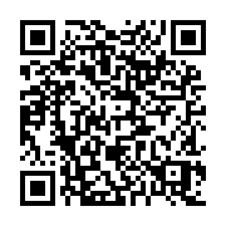 QR code for 008 IIP