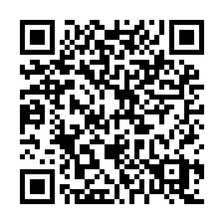 QR code for 009 IBX