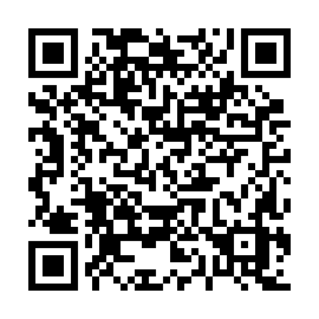 QR code for plate 010 BLZ