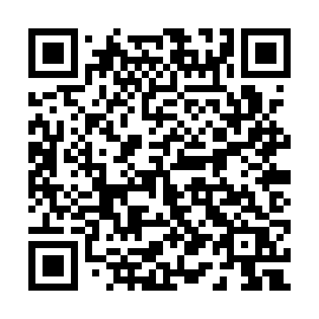 QR code for plate 010 QZR