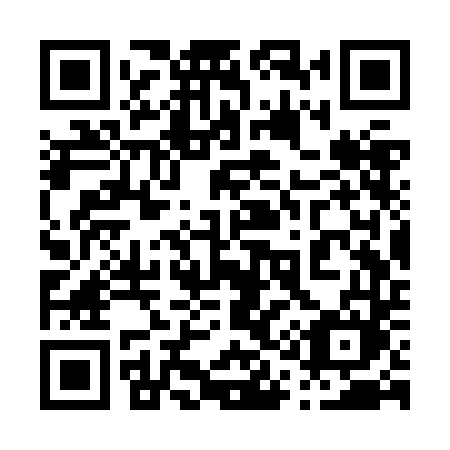 QR code for 013 ZDM
