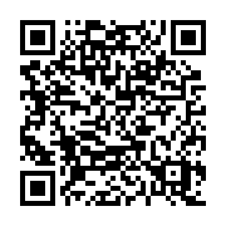 QR code for plate 013 BSX
